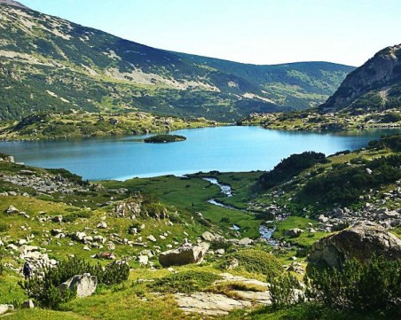 Съдят екоминистерството за безразборна сеч в Пирин