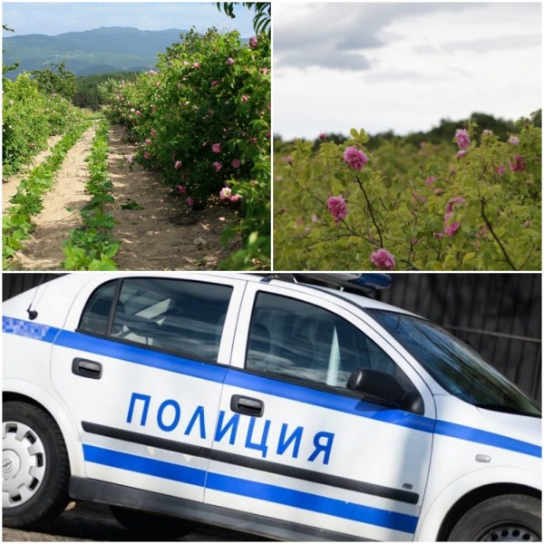 Розопроизводител в Карловско нападна и преби пловдивчанка, едва не я заколи с острие на коса