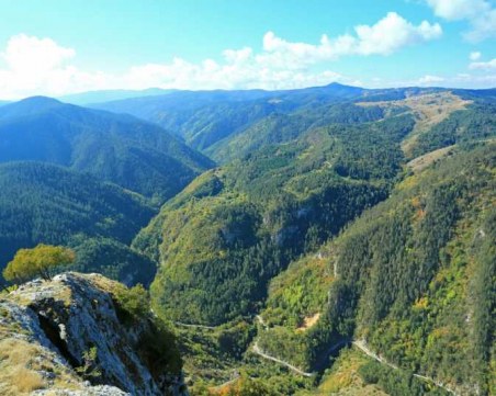 Издирват 84-годишна жена в Родопите