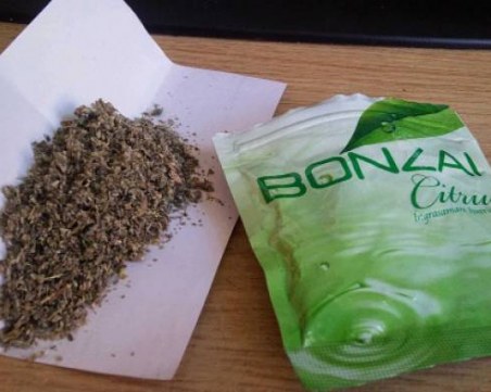 Заловиха дилъри в Столипиново, оказаха се стари познайници на полицията