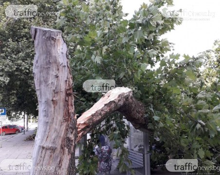 Силен дъжд и ураганен вятър нанесоха щети в Шумен