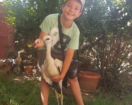 Герой! Ученик от Белозем спаси паднал от гнездото щъркел