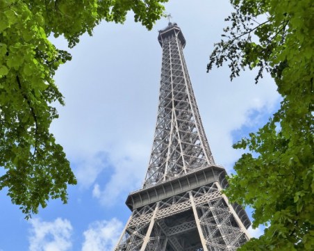 Създават гори срещу жегата в Париж