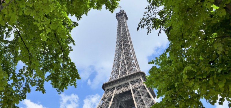 Създават гори срещу жегата в Париж
