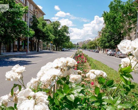 ВНИМАНИЕ: Опасна жега в 21 области на България!