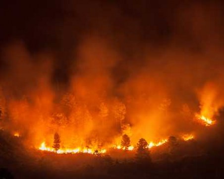 77-годишен мъж е причинил огромния пожар край Хасково