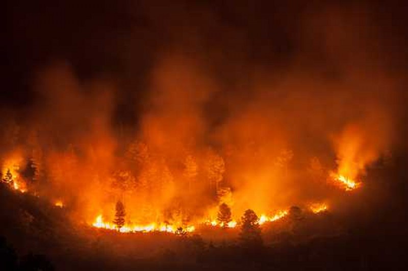 77-годишен мъж е причинил огромния пожар край Хасково