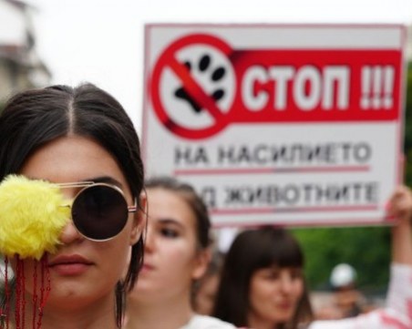 Моята кожа няма цена! Норките - защитени с модно ревю