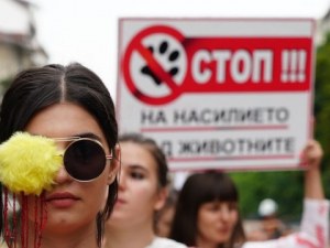Моята кожа няма цена! Норките - защитени с модно ревю