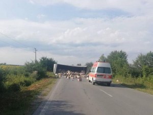 Пиян тираджия се наниза в друг тир и се преобърна! Пътят е блокиран