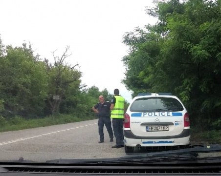 Заради чумата: Полицаи търсят прасета и месо в багажниците