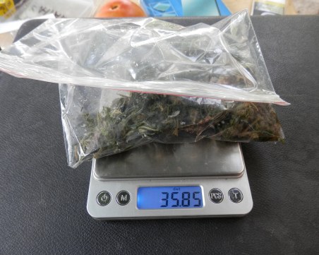 Откриха домашна оранжерия за марихуана край Пазарджик! Арестуваха Валето