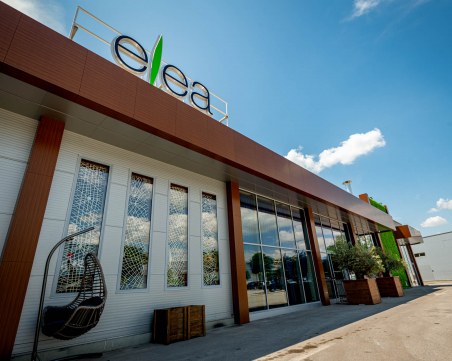 Гръцкият ресторант 