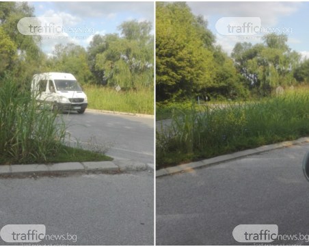 Висока трева прегради кръгово кръстовище край Пловдив