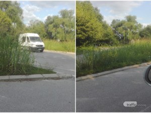 Висока трева прегради кръгово кръстовище край Пловдив