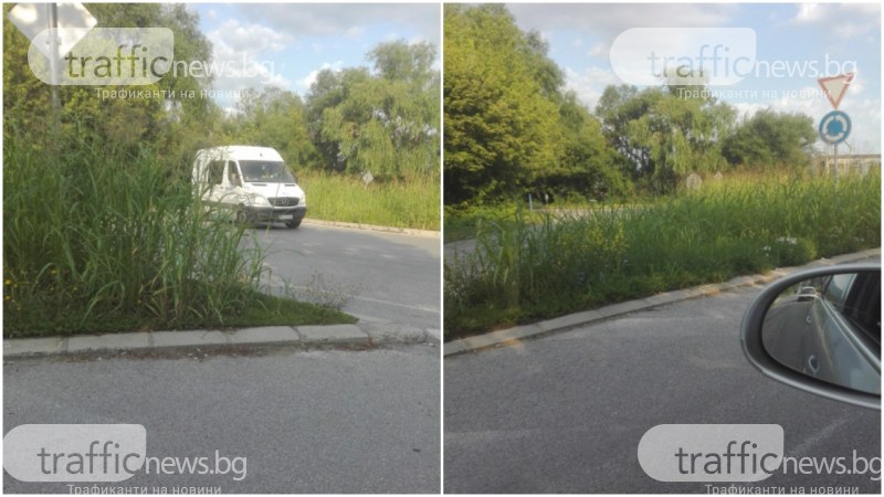 Висока трева прегради кръгово кръстовище край Пловдив