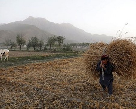 Талибани нападнаха хотел в Афганистан, убиха трима полицаи и раниха 10 души