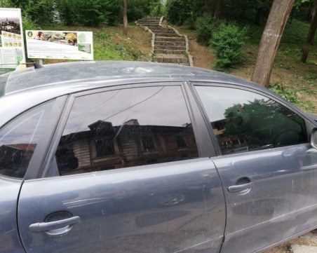 Коли газят животни на Бунарджика – докога автомобили ще могат да обикалят тепето?