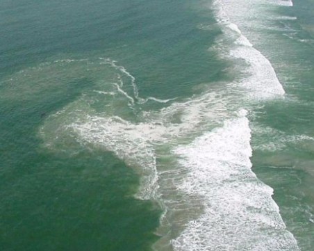 Подранил мъртвак дебне летовниците по южните плажове