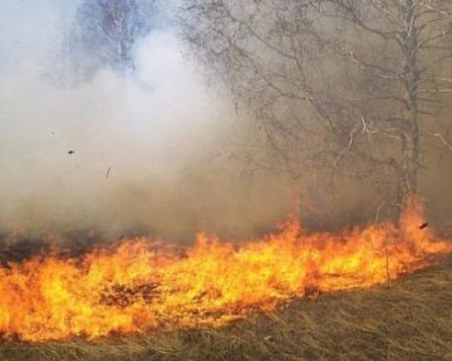 Евакуират 10 000 души от хърватски остров заради голям пожар