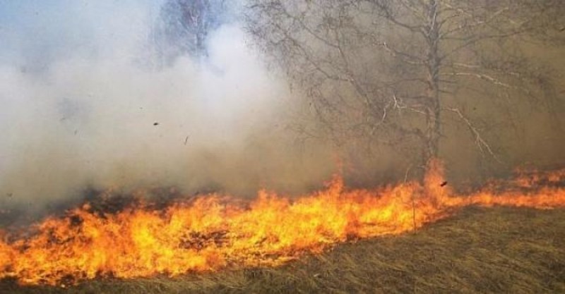 Евакуират 10 000 души от хърватски остров заради голям пожар