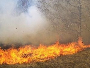 Евакуират 10 000 души от хърватски остров заради голям пожар
