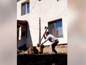 11 месеца условно за изверга, който съсече котка с брадва