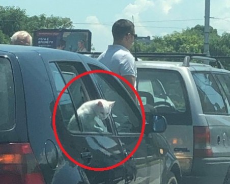 Катастрофа в Пловдив с 