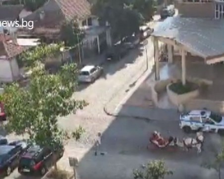 Улиците на Столипиново като модни подиуми - сватбени дефилета, гюбеци и кючеци огласят квартала