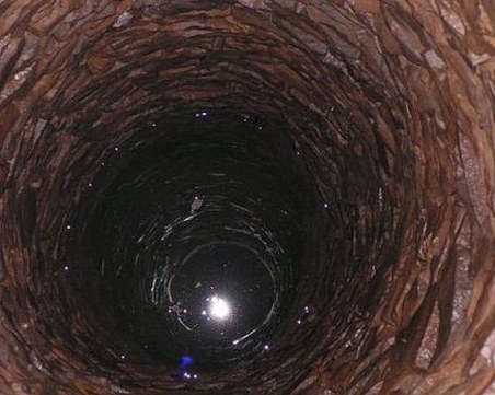 Жена намери кучето си в кладенец, простреляно в шията