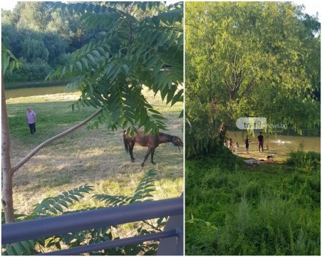 Новият аквапарк 