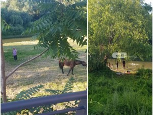 Новият аквапарк