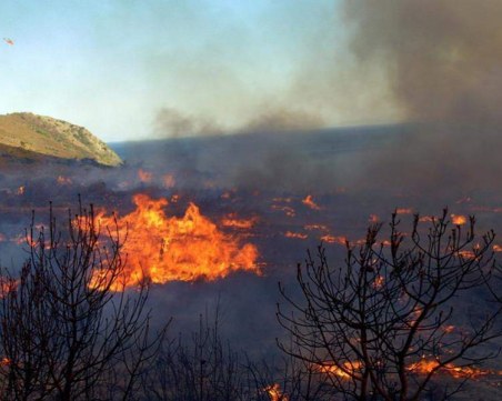 Голям пожар пълзи към къщи и хора на 50 км от Атина