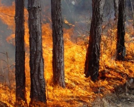 Голям риск от полски и горски пожари в Силистра, Хасково, Бургас