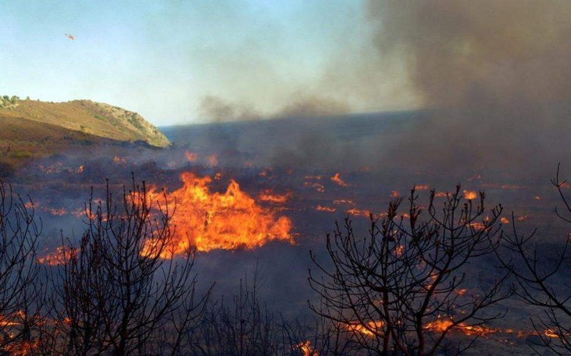 Голям пожар пълзи към къщи и хора на 50 км от Атина
