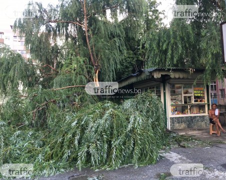 Гръм падна в Пловдив