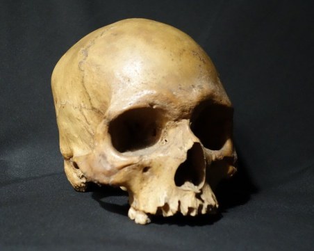 Туристка откри човешки череп край Бачково, тялото - липсва