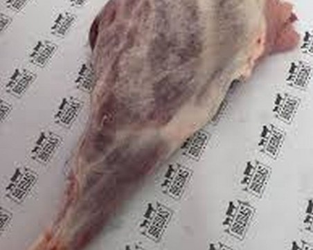 Служители на БАБХ взеха от юрист агне вместо прасе