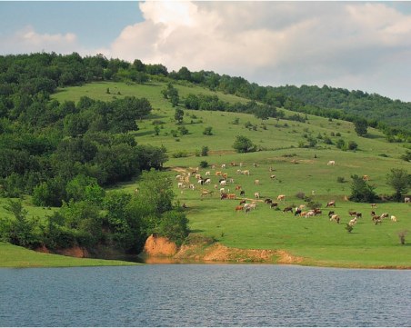 Райска разходка: До язовир Домлян и назад