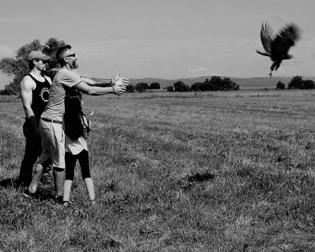 Добро дело: Калин Вельов спаси мишелов, птицата отлетя в дивото