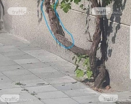 Смок изпълзя от блок в центъра на Пловдив, хората са в паника