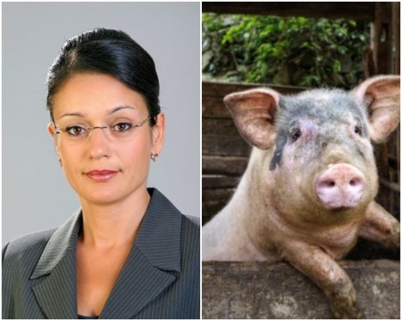 Уволняват служителката разпоредила всички да си изколят прасетата