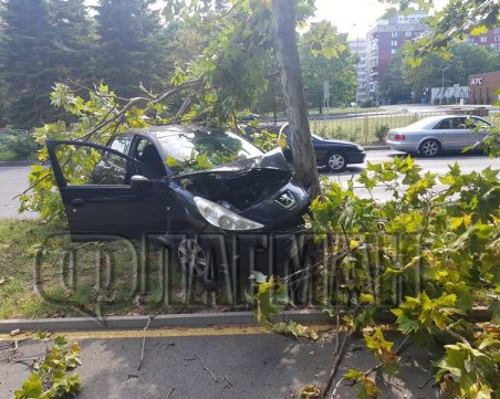 Младеж и приятелката му се забиха в дърво с колата си, откараха ги с линейка