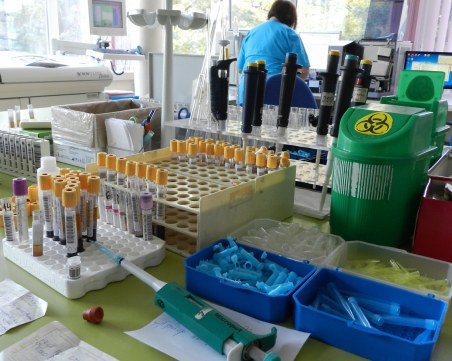 Свинеферма в Русенско отказа да умъртви животни