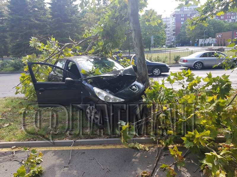 Младеж и приятелката му се забиха в дърво с колата си, откараха ги с линейка