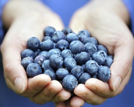Кой и защо не трябва да яде боровинки