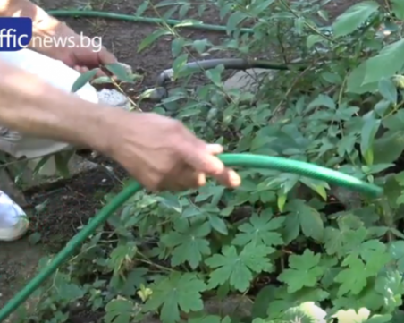 Водният режим в село Червен – преустановен! Подмениха 350-метров водопровод