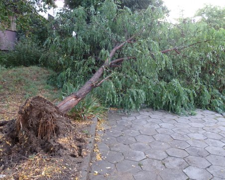 Градушка, пороен дъжд и бурен вятър удариха Кърджали