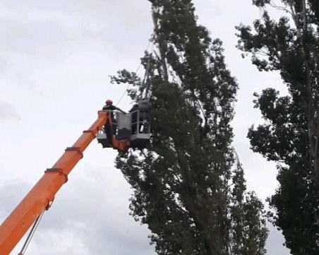 Зрелищна акция: Пожарникари и полицаи спасиха коте в София