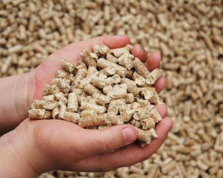 Арестуваха продавач на палети, завлякъл десетки българи